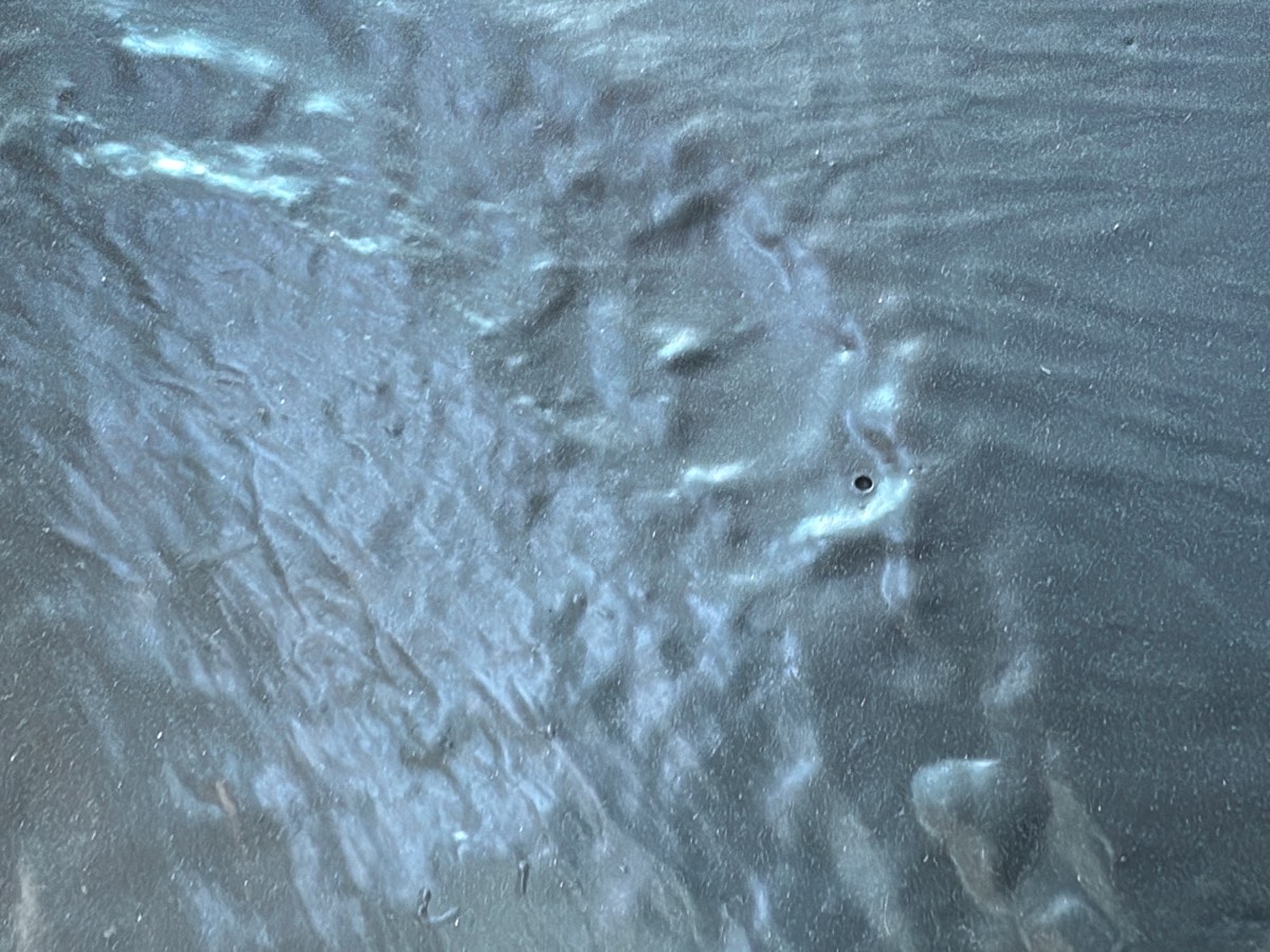 Pinholes through a membrane, Schofields
