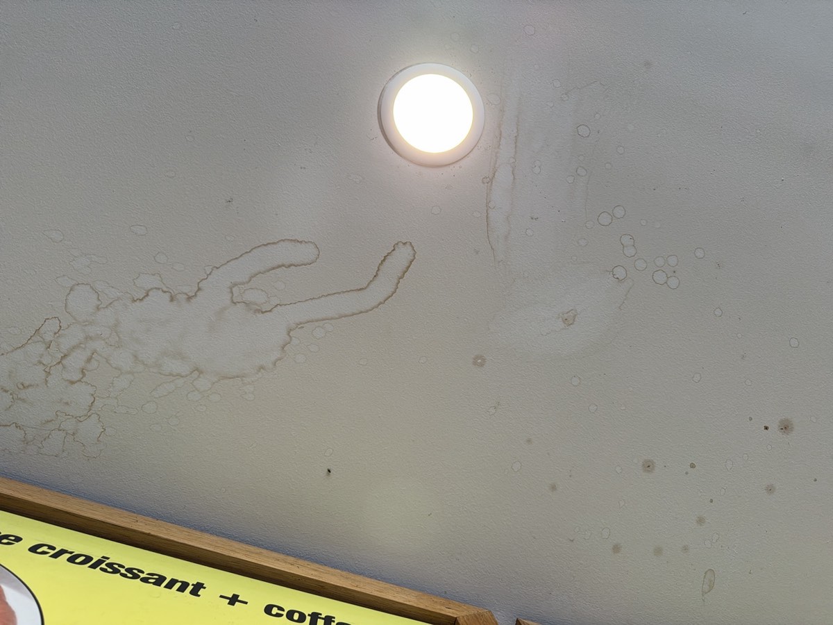 Buying in Schofields, Schofields